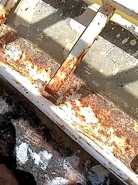 Snapshot of hOrnybOy_369 chatting on November 2025 08:07:02 AM hOrnybOy 369 online show from November 2025 08:07:02 AM