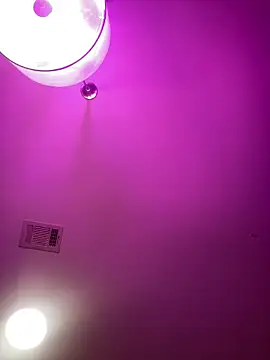 Snapshot of BigFineSelena chatting on September 2025 08:26:02 AM BigFineSelena online show from September 2025 08:26:02 AM