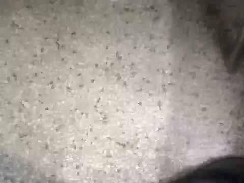 Rajibsorkar20 online show from February 2025 09:04:02 PM