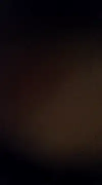 Rajibsorkar20 online show from February 2025 10:00:02 PM