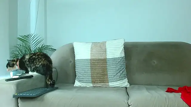 Robyn Miller online show from October 2025 01:00:01 PM