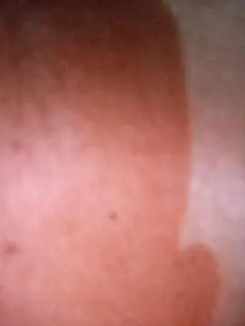 CASADASIGILO2 online show from February 2026 12:29:01 AM