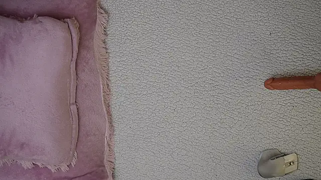 tu julieta gh online show from February 2026 03:25:02 PM