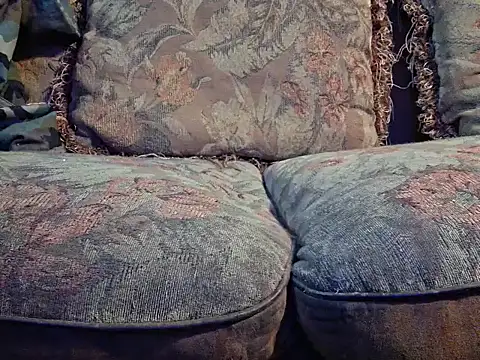 highstepper500 online show from December 2025 06:28:01 AM