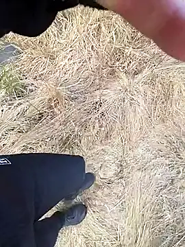 Papiercedbisex online show from April 2026 02:19:01 PM