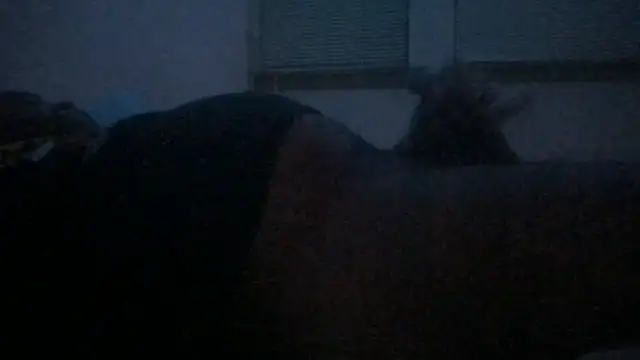 Freaky dickey online show from December 2025 03:01:02 PM