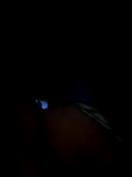 1981-AZ online show from November 2025 01:39:01 AM