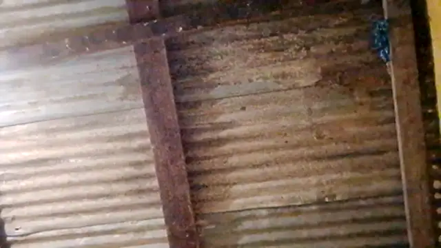 LULE37587001 online show from February 2026 11:06:02 PM