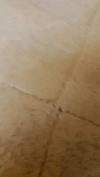 LULE37587001 online show from February 2026 06:26:01 AM