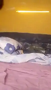 LULE37587001 online show from February 2026 03:59:01 AM