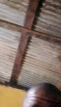 LULE37587001 online show from March 2026 10:32:01 PM