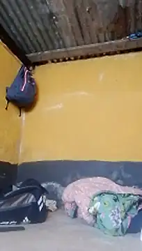 LULE37587001 online show from February 2026 01:57:02 PM