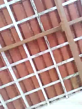 Peludo173317 online show from March 2025 05:02:01 PM