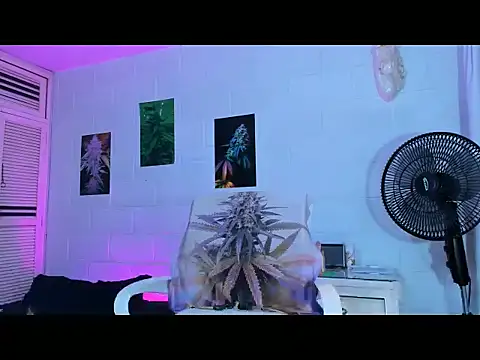 drippyorlovee online show from February 2026 07:58:02 PM