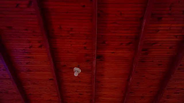 annie barozzi online show from October 2025 01:24:02 PM