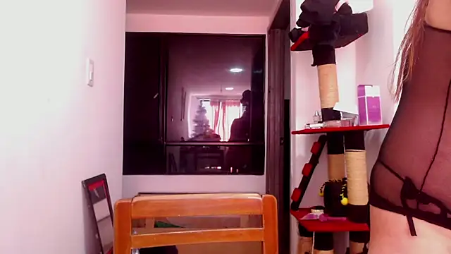 karinasodi 1 online show from December 2025 08:08:02 PM