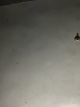 Snapshot of JayJayRod chatting on November 2025 06:08:02 AM JayJayRod online show from November 2025 06:08:02 AM