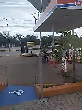 sagrado 1989 online show from January 2026 10:03:02 PM