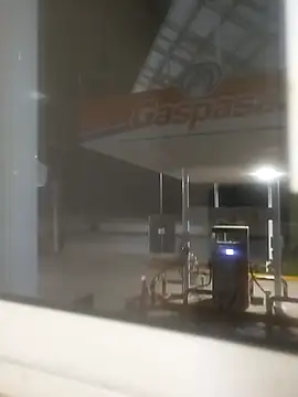 sagrado 1989 online show from February 2026 02:44:02 AM