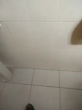 sagrado 1989 online show from February 2026 12:20:02 AM