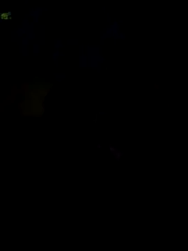 000002m online show from October 2025 06:36:02 AM