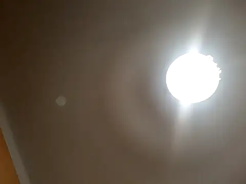 White rabbit  online show from September 2025 08:52:01 PM