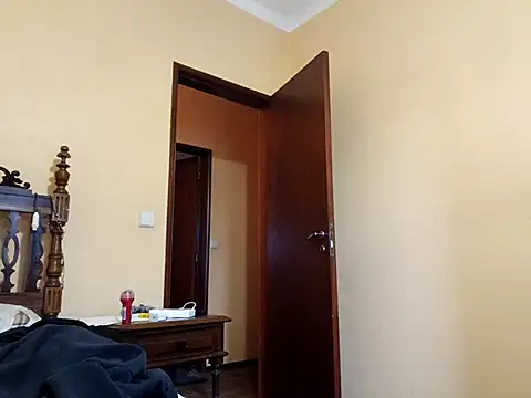 White rabbit  online show from October 2025 03:08:01 PM