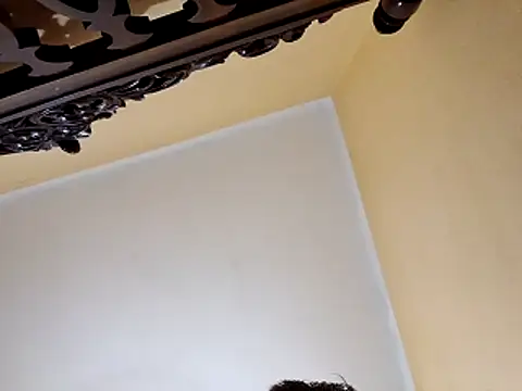 White rabbit  online show from October 2025 09:58:01 PM