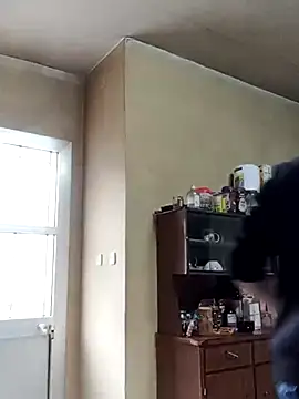 White rabbit  online show from March 2025 08:34:01 AM