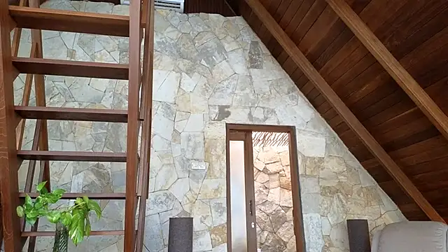 Cryptikov online show from April 2026 08:21:01 AM