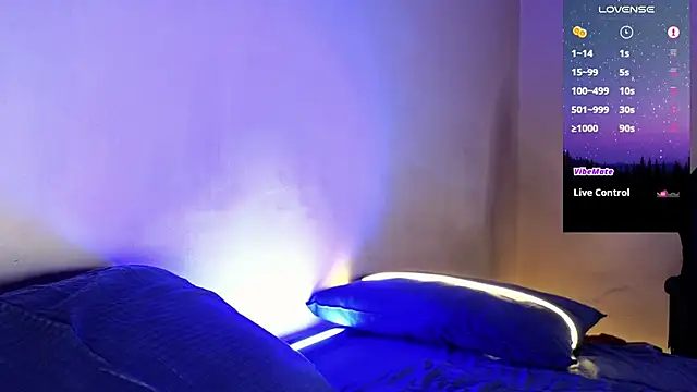 Snapshot of DominantTheo chatting on January 2025 02:42:02 AM DominantTheo online show from January 2025 02:42:02 AM