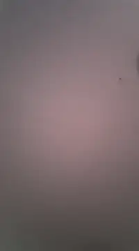 Maxmusterman20023 online show from January 2025 01:41:01 AM