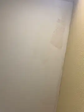 pinkangell online show from November 2025 07:41:02 PM