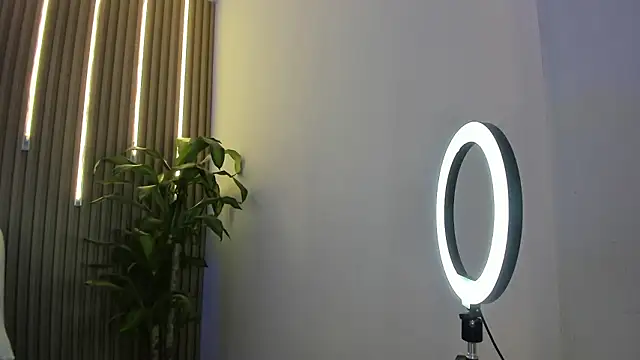 perla7777 online show from February 2026 02:00:01 AM