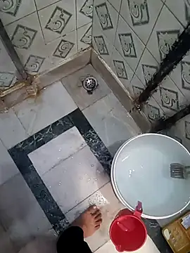 sum6255 online show from November 2025 06:46:02 AM