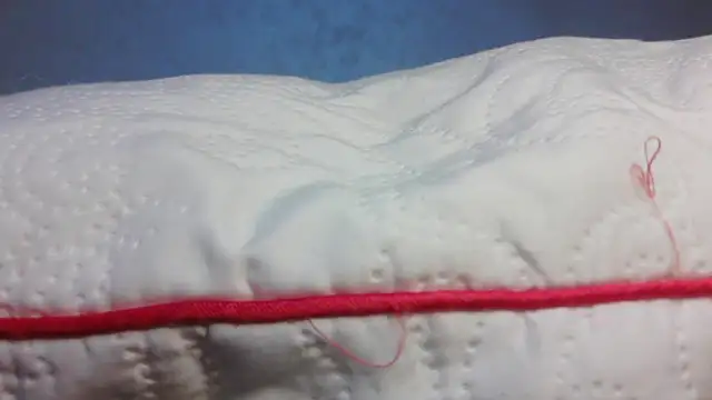 roccosif696 online show from March 2026 11:54:01 PM