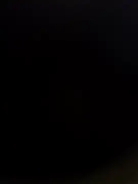 roccosif696 online show from January 2025 01:55:02 PM