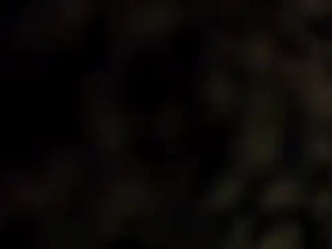 DarkHorse89 online show from September 2025 02:37:02 PM