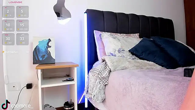 Snapshot of catimore chatting on February 2025 02:42:02 PM catimore online show from February 2025 02:42:02 PM