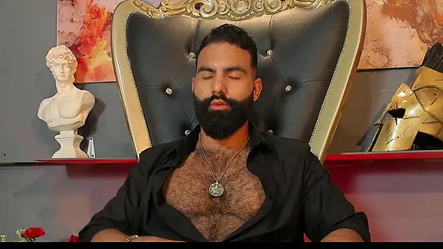 Snapshot of BeardAndrew chatting on February 2025 01:10:01 AM BeardAndrew online show from February 2025 01:10:01 AM