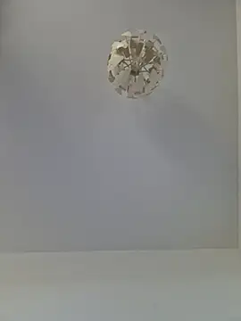 cuci45 online show from November 2025 10:31:01 AM