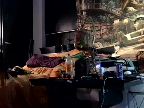 Snapshot of OSIRlS chatting on February 2025 11:12:01 AM OSIRlS online show from February 2025 11:12:01 AM