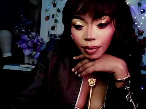 Anaconda2350 online show from April 2026 12:17:01 AM