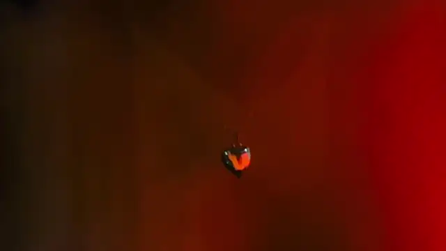 Youlittlepervertt  online show from March 2026 11:49:02 PM