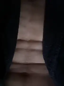 dennisnl93 online show from February 2026 05:29:01 AM