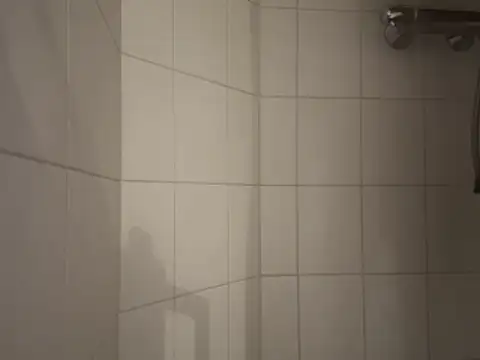 dennisnl93 online show from February 2026 04:16:02 PM