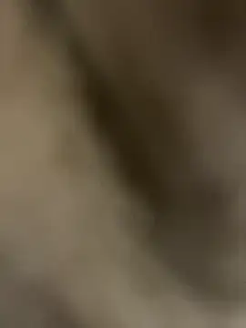 Pascutt online show from September 2025 10:05:01 PM