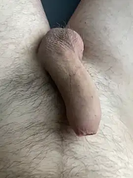 Pascutt online show from April 2026 05:41:01 AM