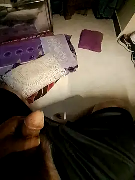 Snapshot of NH2022 chatting on December 2024 03:40:01 AM NH2022 online show from December 2024 03:40:01 AM