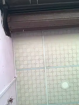 Hullax online show from March 2026 02:37:01 AM